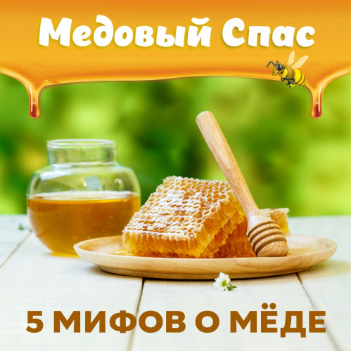 5 мифов о мёде